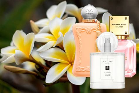 frangipani and pineapple perfume